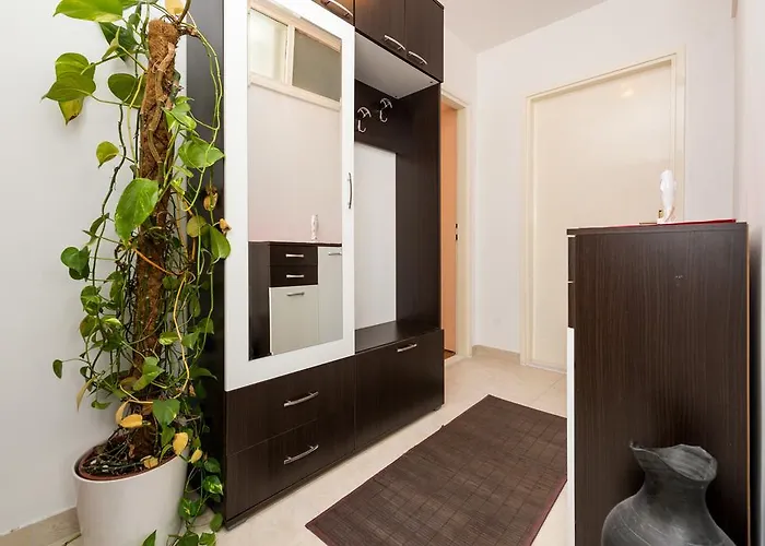 Paloma דוברובניק